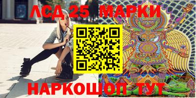 индика Нальчик