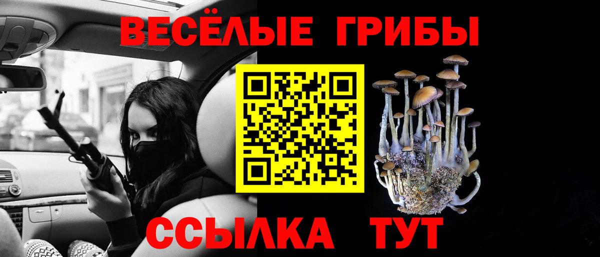 Галлюциногенные грибы мухоморы Усть-Джегута